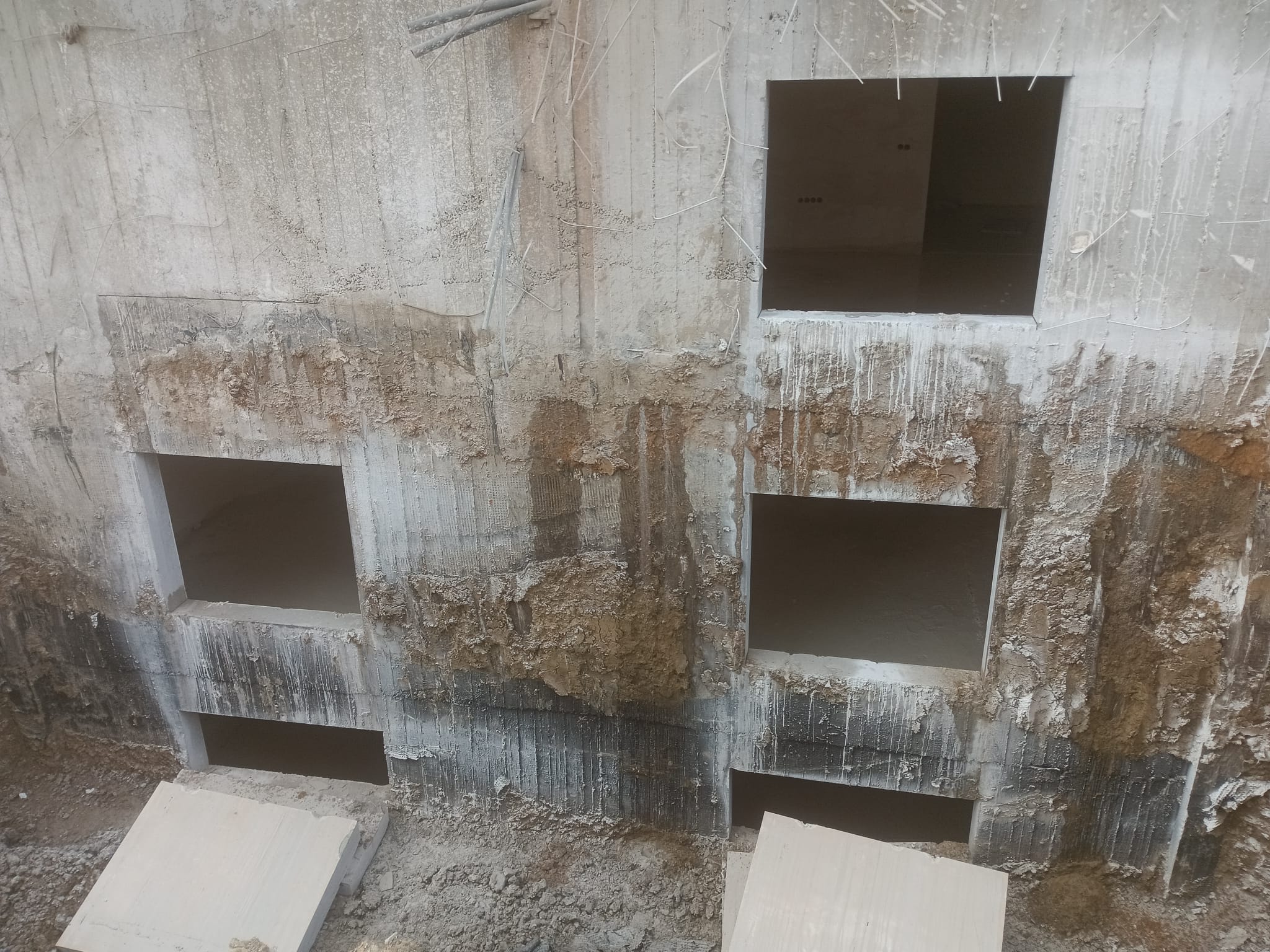 Cephede farklı seviyelerde açıklıklar